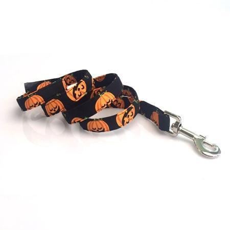 de pompoenmode huisdierenset met halsband en riem