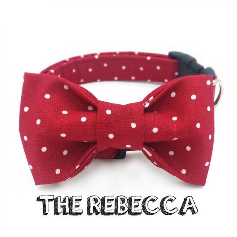 de rebecca fashion huisdierenset met halsband en riem