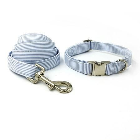 de strepen mode huisdier set halsband en riem