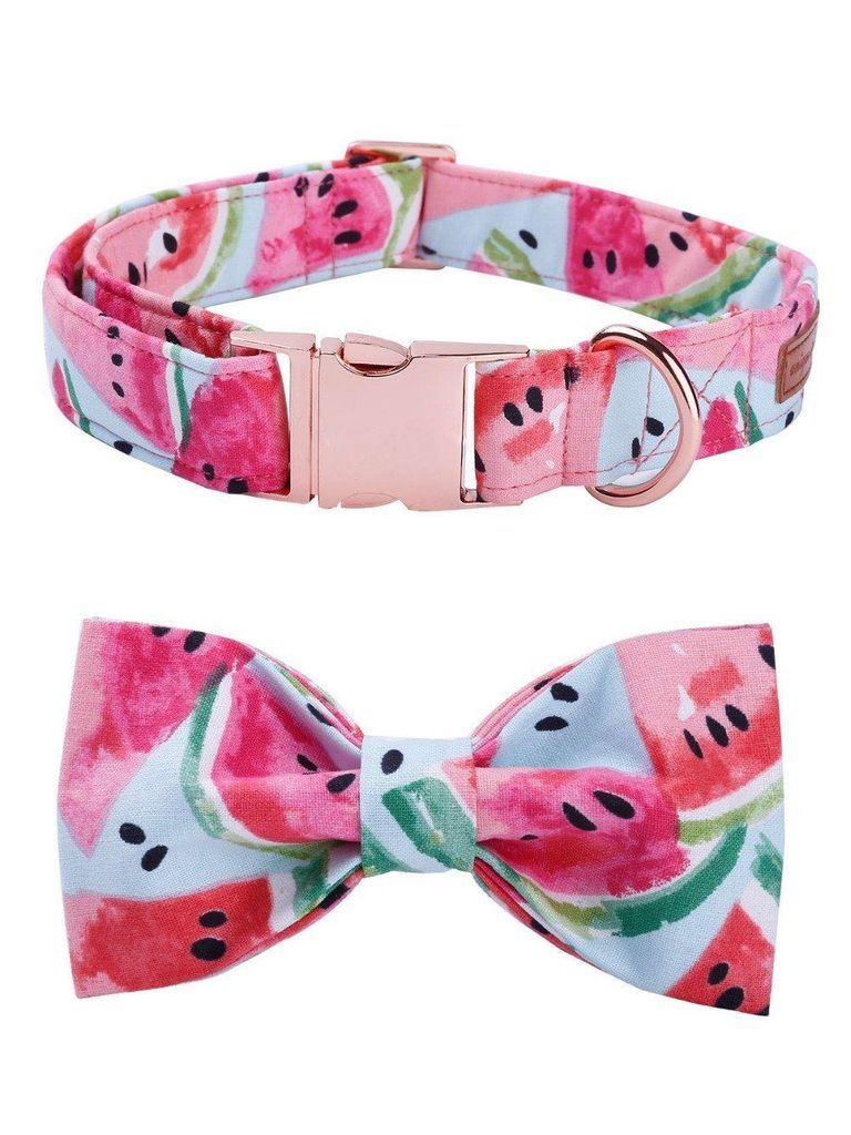 de watermeloen fashion pet set van halsband en riem