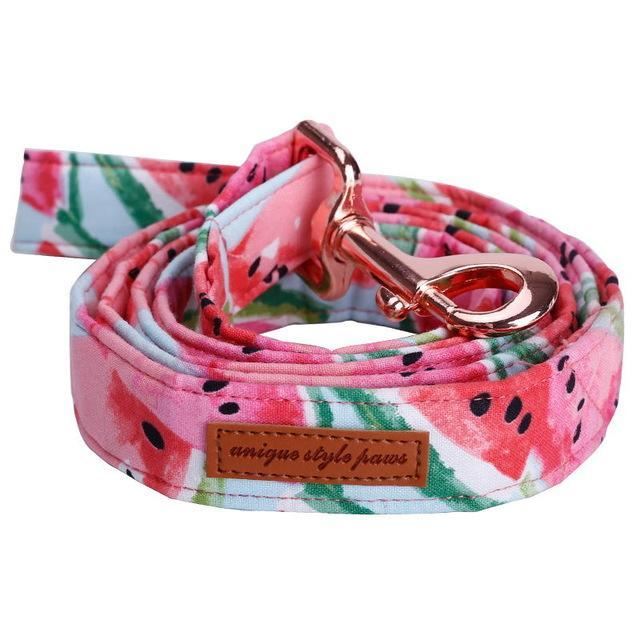 de watermeloen fashion pet set van halsband en riem