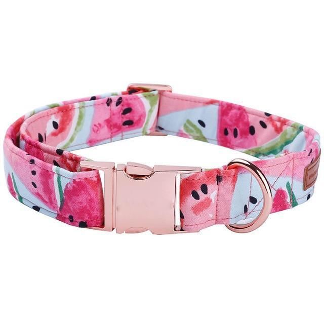 de watermeloen fashion pet set van halsband en riem