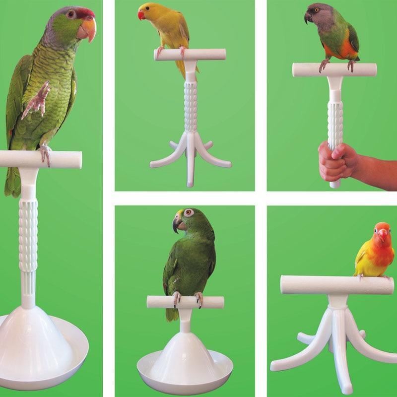 draagbare zitstok en lichtgewicht staand speelgoed voor vogels