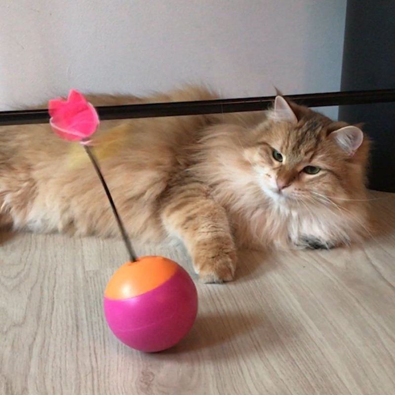 drie in één tumbler teaser kattenspeeltje