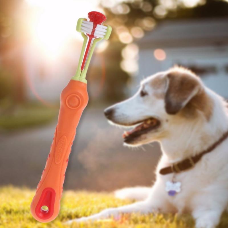 drievoudige tandenborstel voor huisdieren