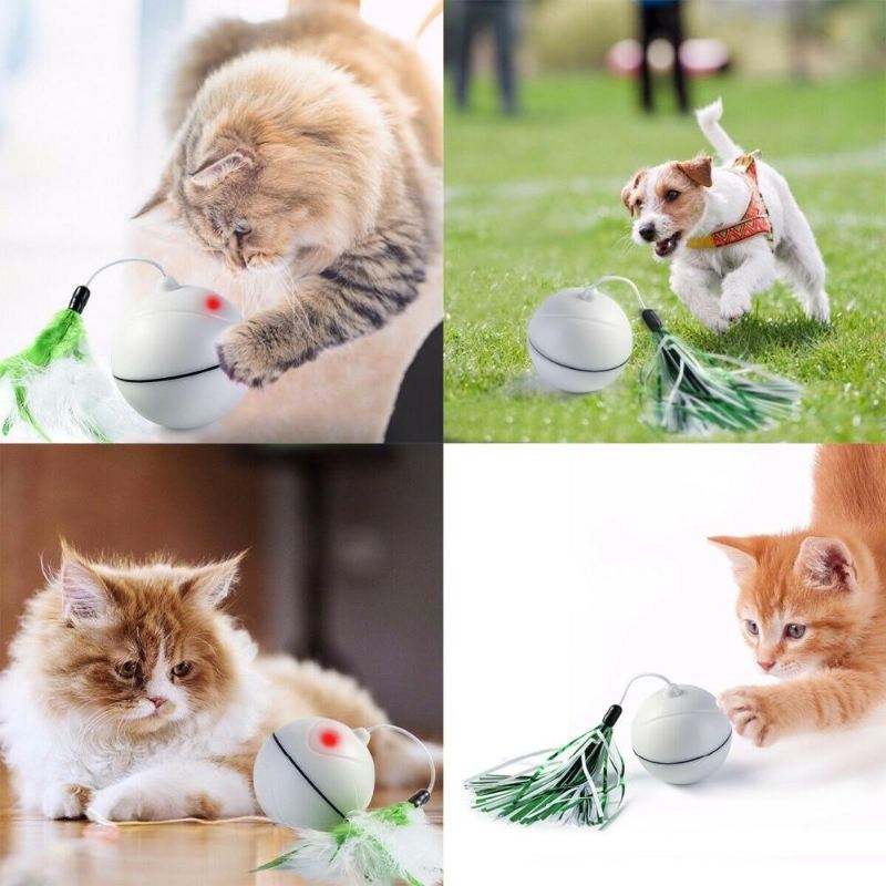 elektrisch rollend huisdierenspeelgoed met laserbal