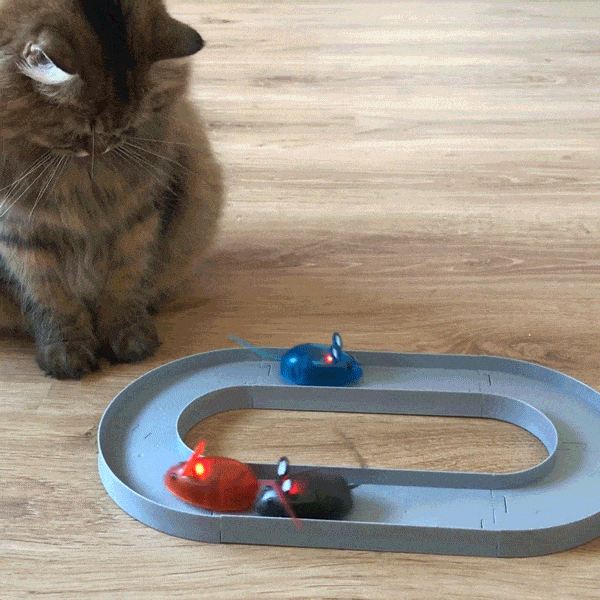 elektronisch katmuis-speelgoed met lastige racebaanpuzzel