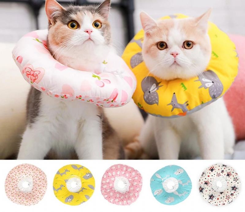 elizabethaanse halsband voor huisdieren