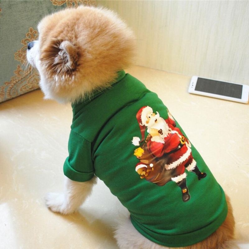 feestelijke kerstkleding voor huisdieren