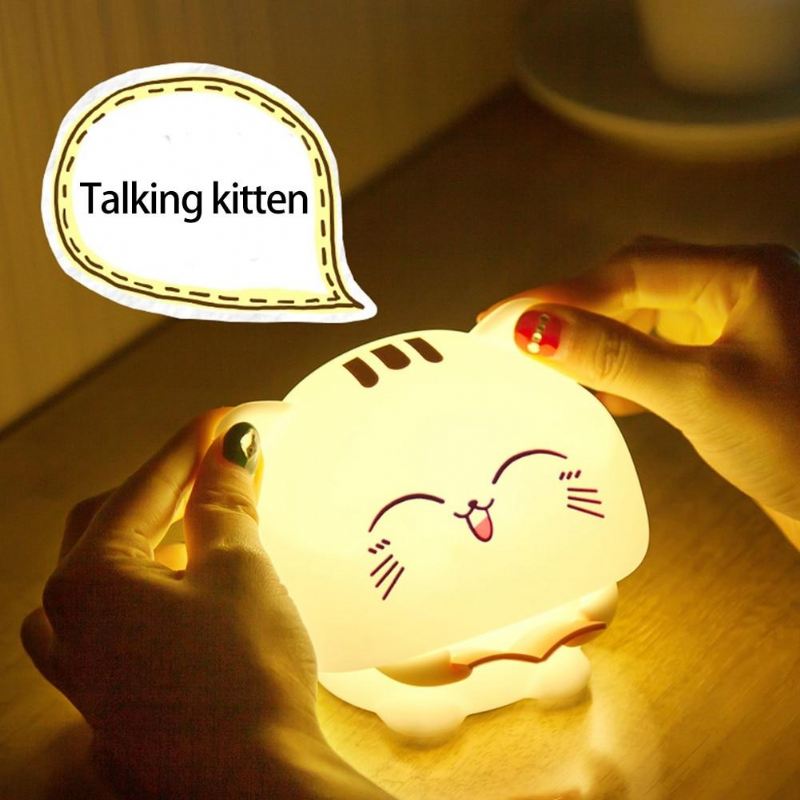 gelukskatlamp met opnamefunctie