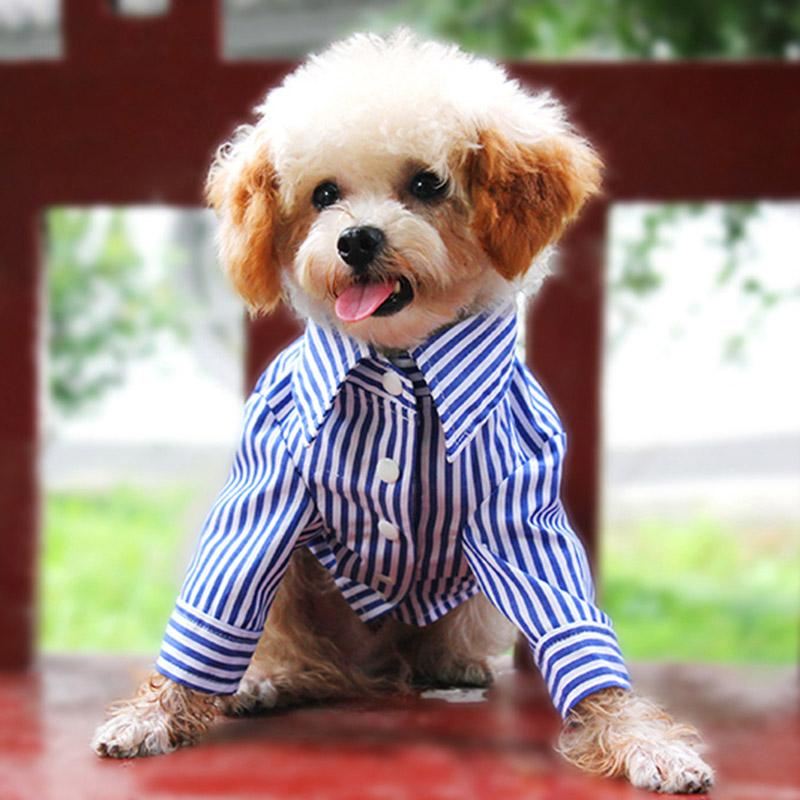 gestreepte shirt kleding voor huisdieren