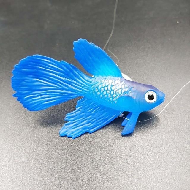  1 st fightfish blue