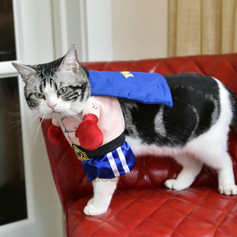 grappig boxer kostuum voor huisdieren