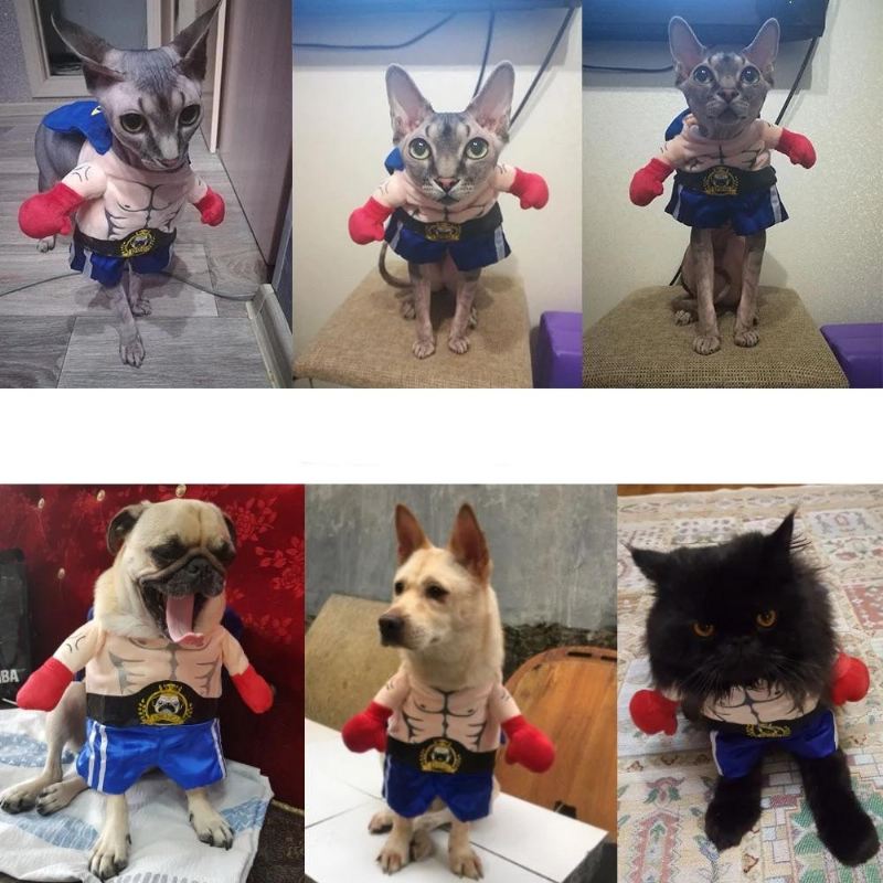 grappig boxer kostuum voor huisdieren