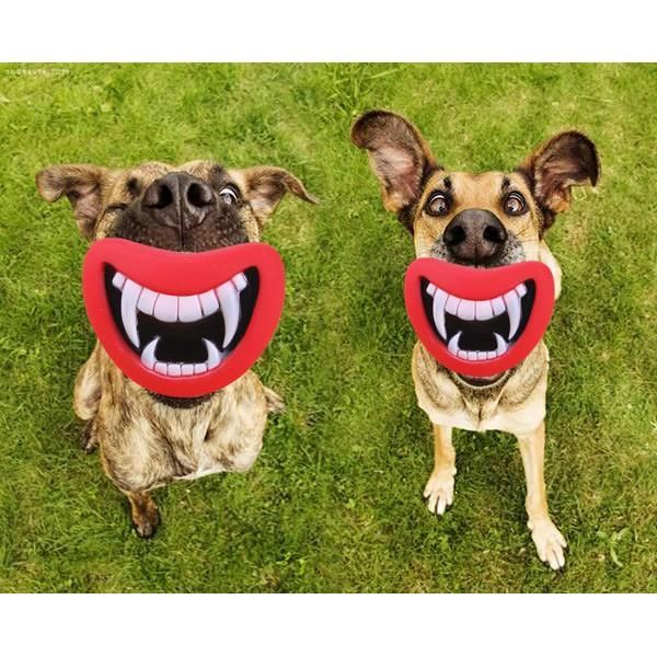 grappig duivelslip piepend hondenspeelgoed