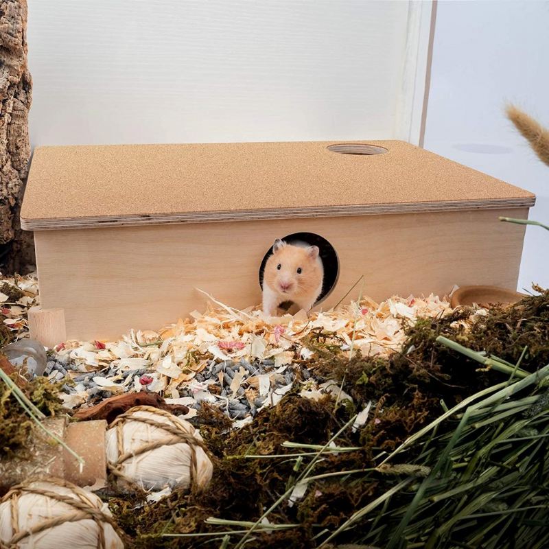 hamsterhuis met meerdere kamers