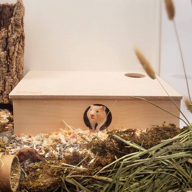 hamsterhuis met meerdere kamers