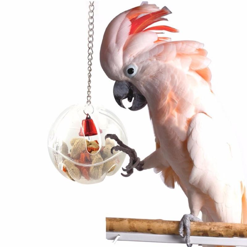 hangende bal vogelvoer behandelt feeder