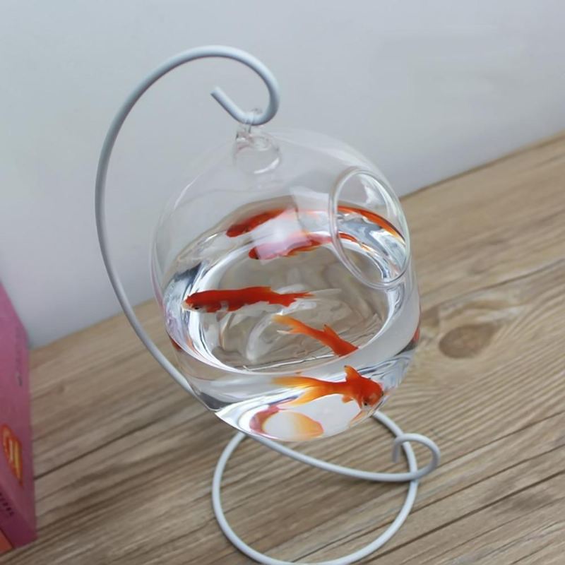 hangende glazen aquariumvissenkom met wit rek