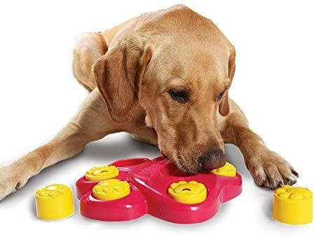 hond interactieve spelletjes puzzel speelgoed voedsel dispenser