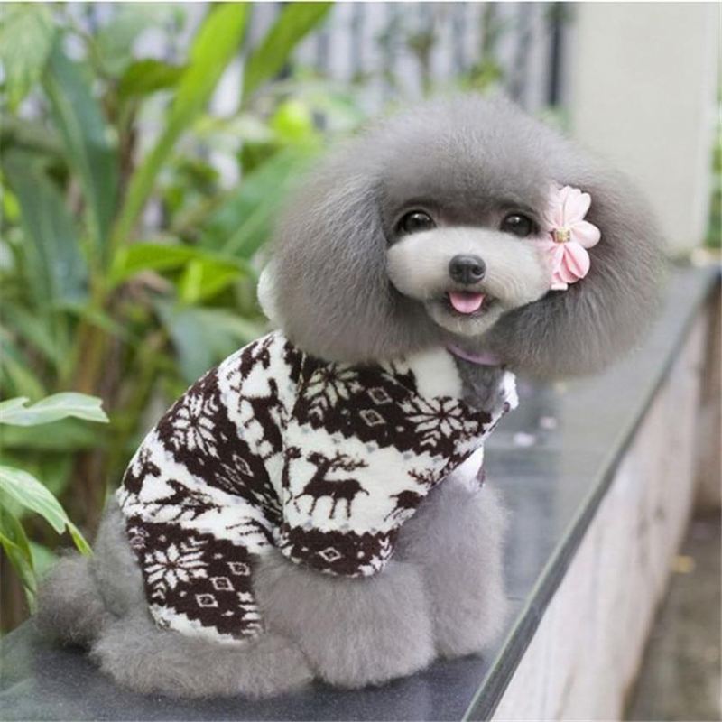 hond jumpsuit hoodie jas