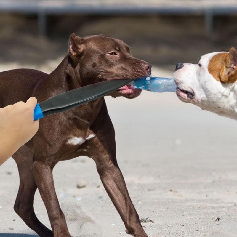 hond professionele pauze stick