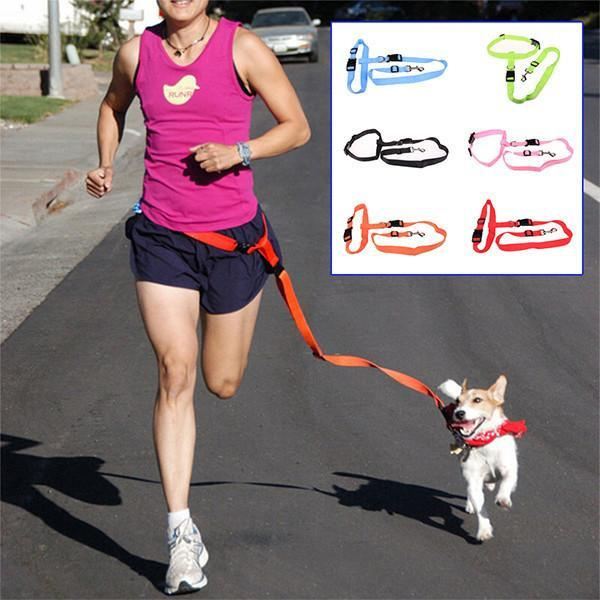 hond rennen / joggen riem