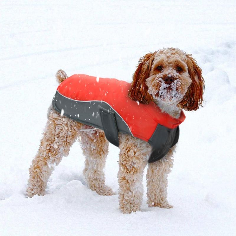 hond warme en waterdichte jas vest jas