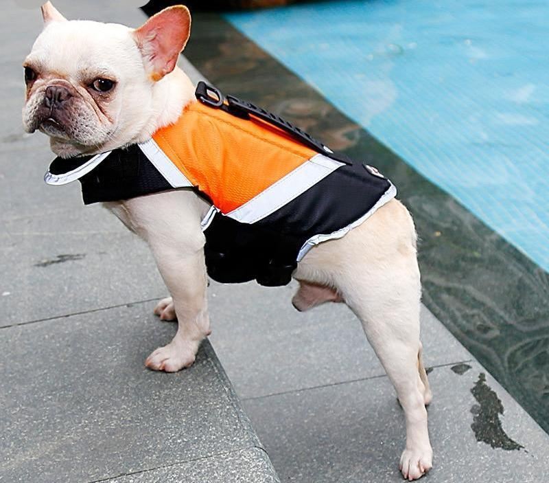 honden reddingsvest vest met extra vulling