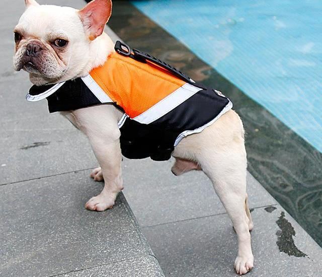 honden reddingsvest vest met extra vulling