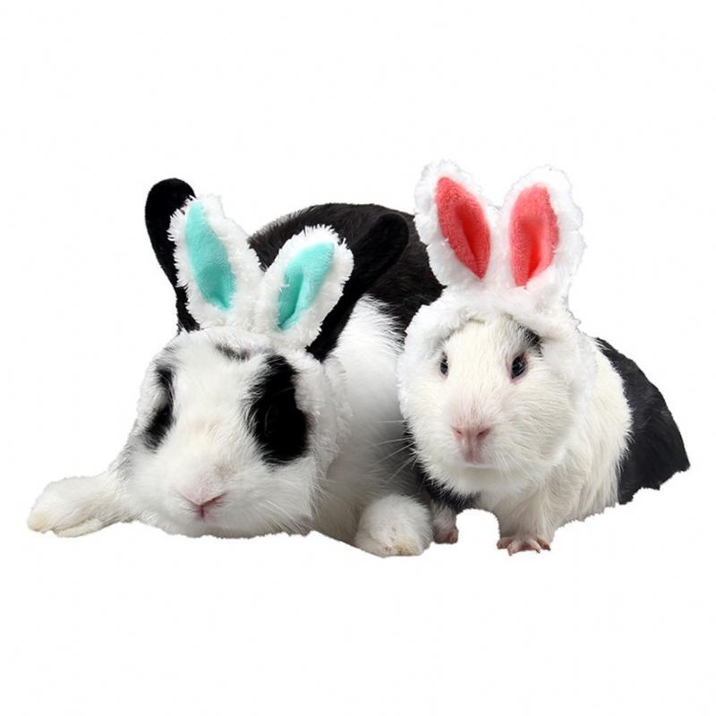 hoofdbanden met konijnenoor