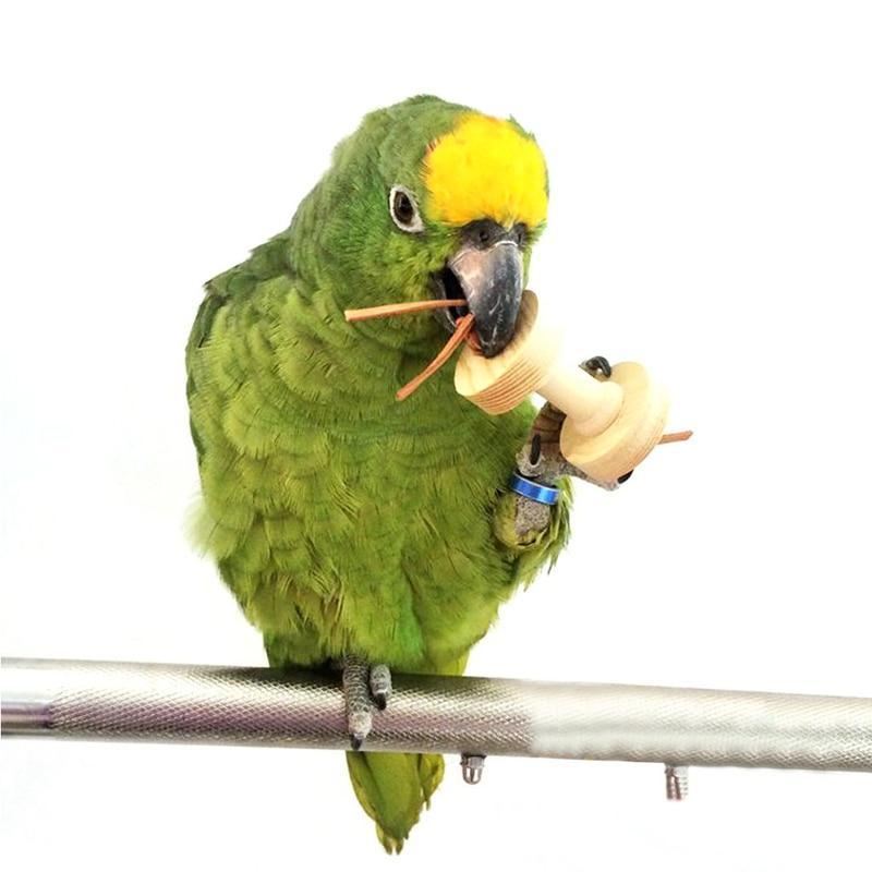 houten halters kauwen leuk vogelspeelgoed