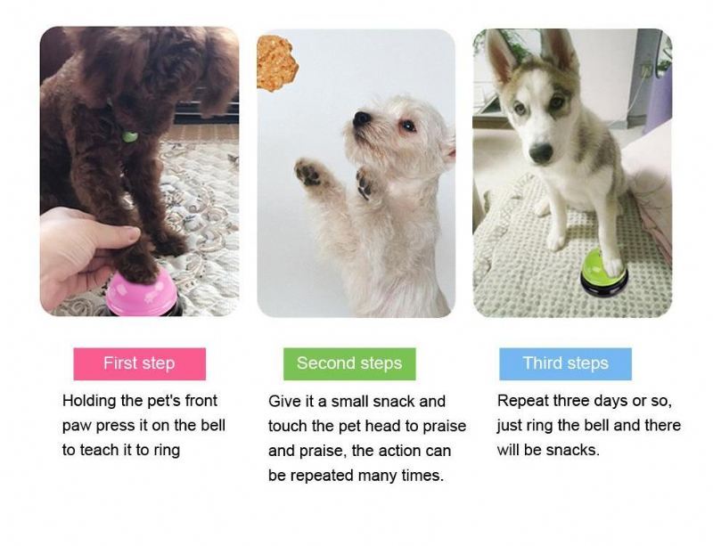 interactieve bel voor het trainen van huisdieren