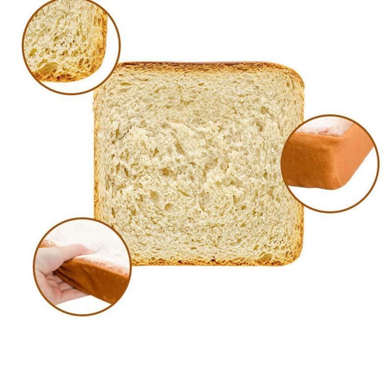 introductie van de toastbrood kattenmand