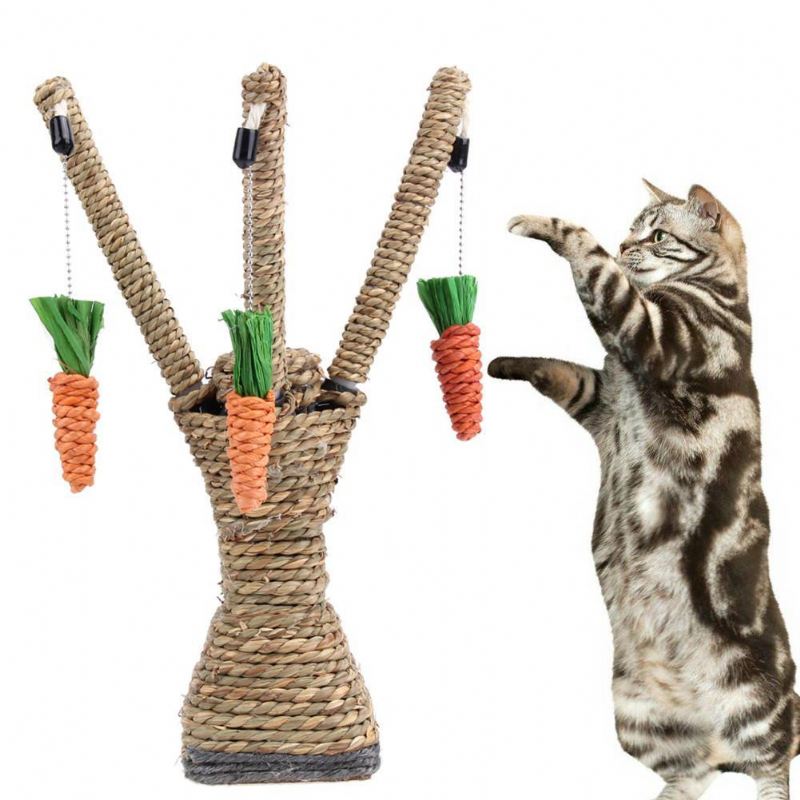 kat krabpaal met wortelen tanden poetsen kauw radijs