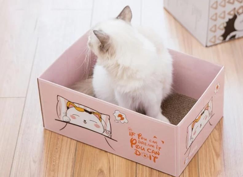 kat opvouwbare speelbox