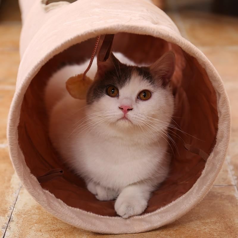 kat verbergen tunnel
