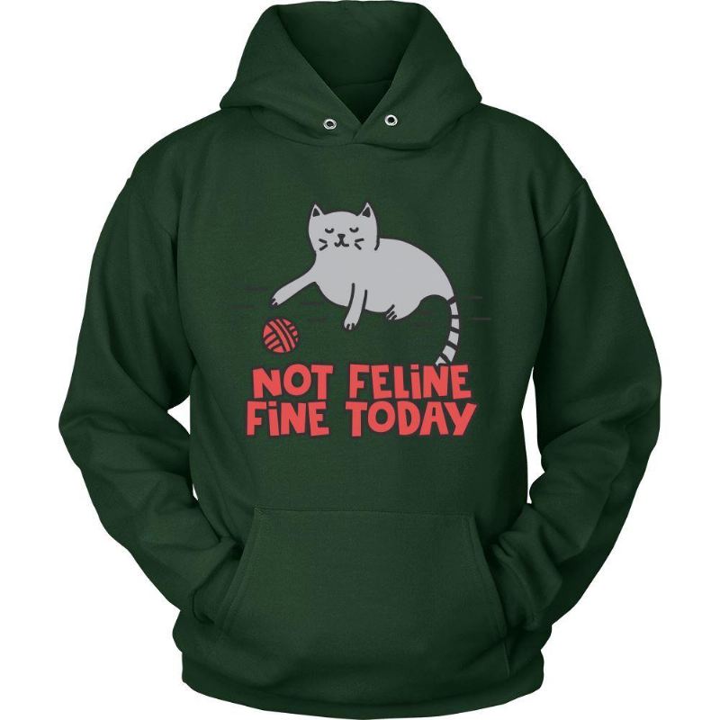 katachtig het vandaag hoodie van het kattenoverhemd