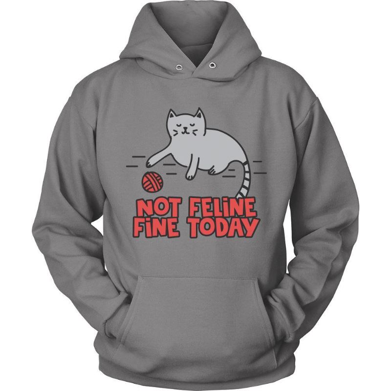 katachtig het vandaag hoodie van het kattenoverhemd