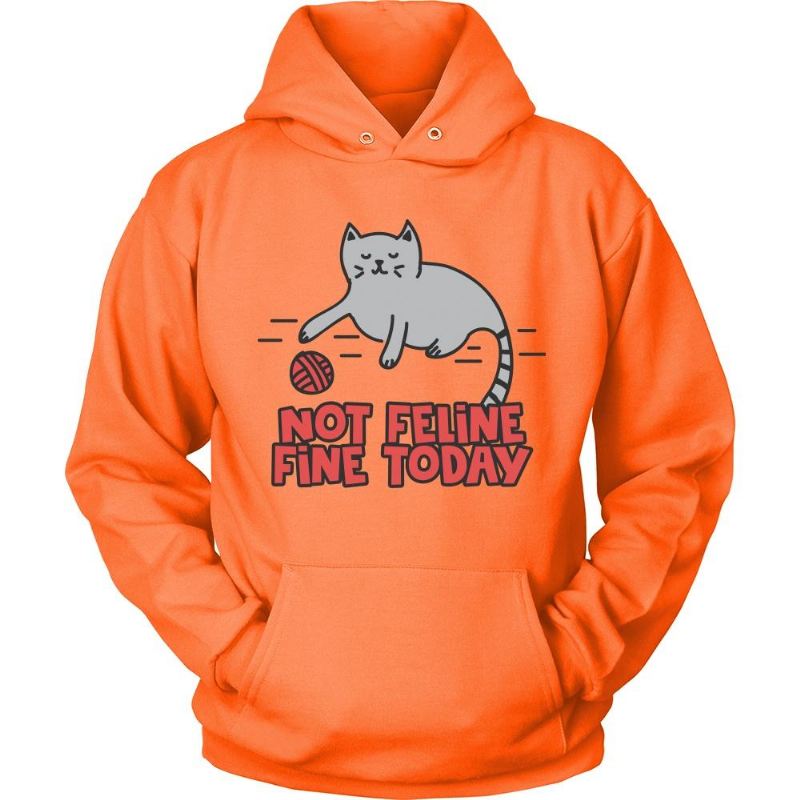 katachtig het vandaag hoodie van het kattenoverhemd