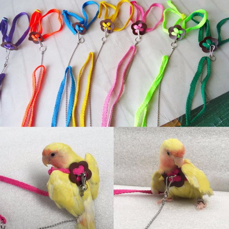 kleurrijke vogellijn outdoor verstelbare harnas training touw