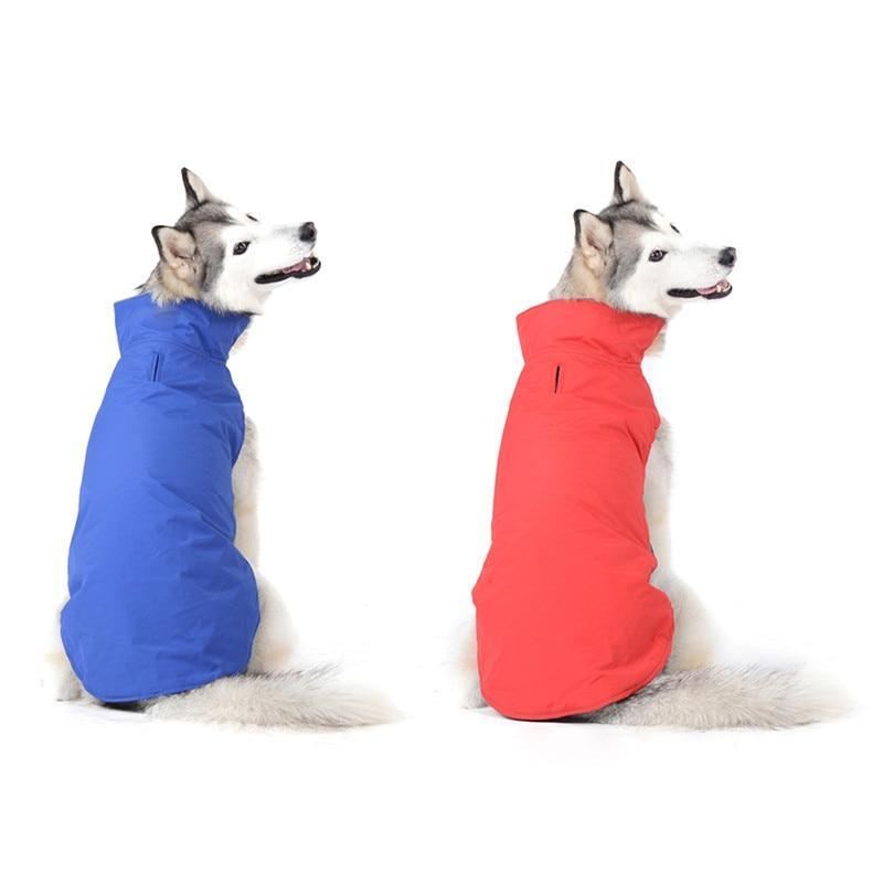 kleurrijke waterdichte hondenjas