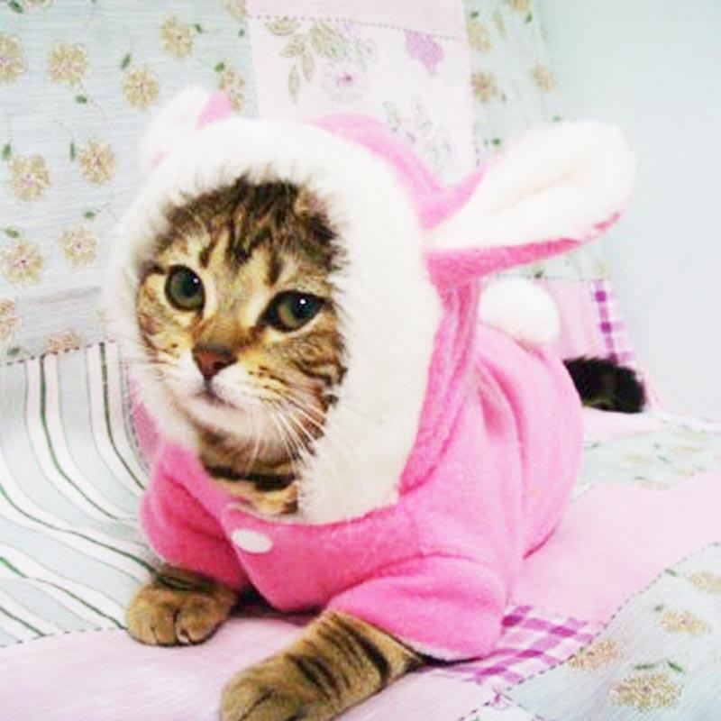 konijnenkostuum fleece warme outfit met capuchon voor katten