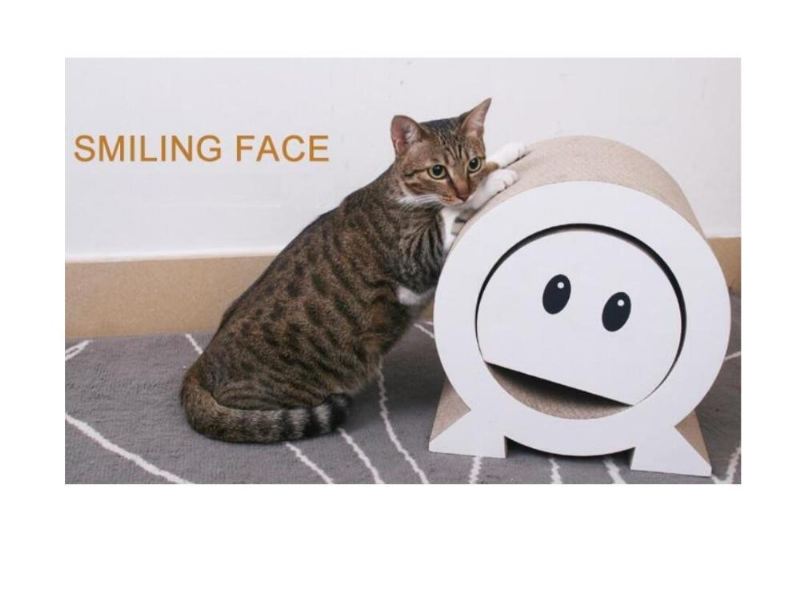 lachend gezicht kat scratchboard