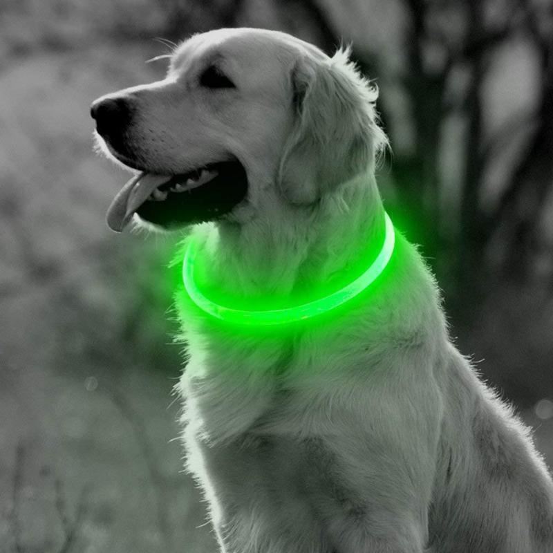 led halsband