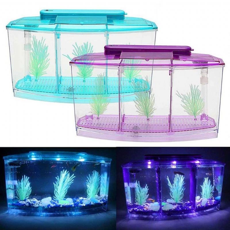 led-lichtverdeler aquarium