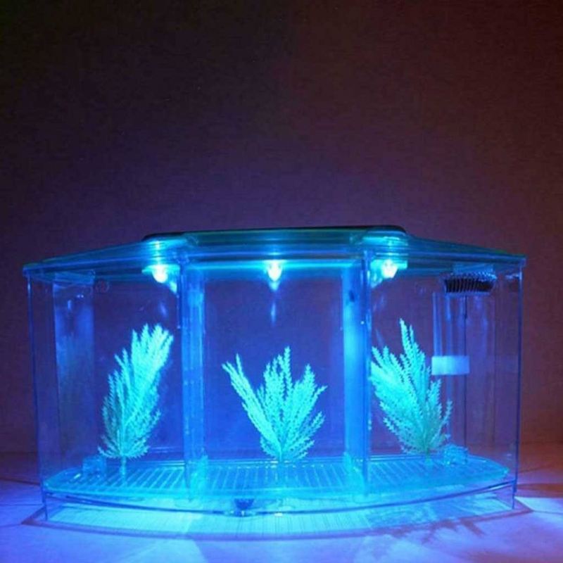 led-lichtverdeler aquarium