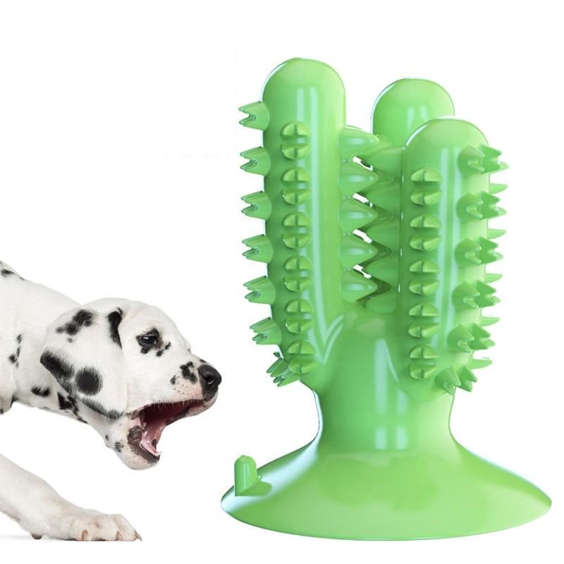 meerdere honden kauwspeeltjes tandenborstel