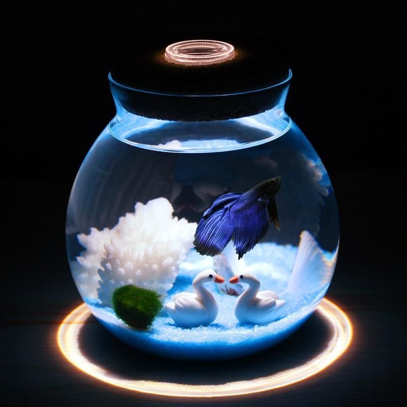 mini betta aquarium met kleine lampjes