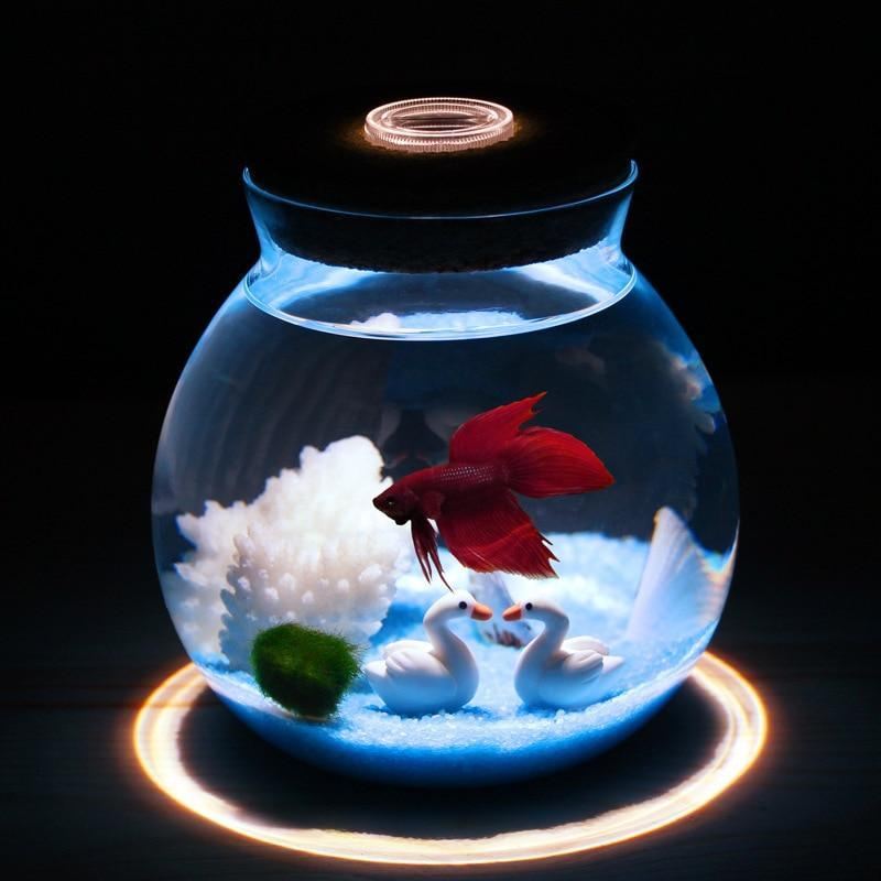 mini betta aquarium met kleine lampjes